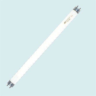 T8 light tubes