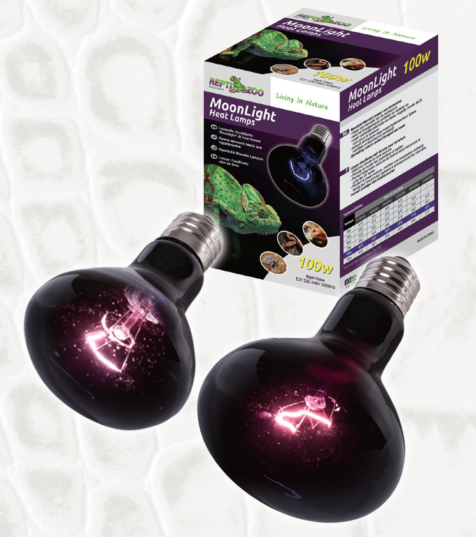 night glow heat lamp