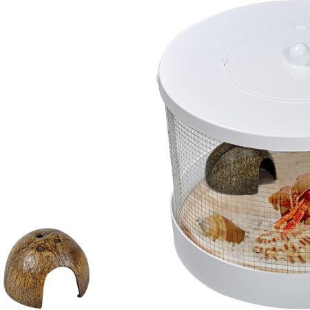 hermit crab kit