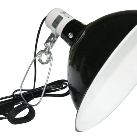 lamp clamp
