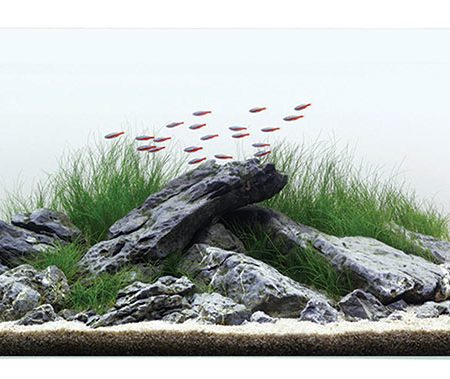 opti clear glass tank