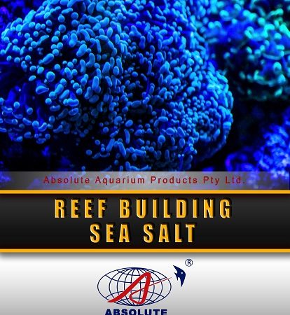 reef building sea salt