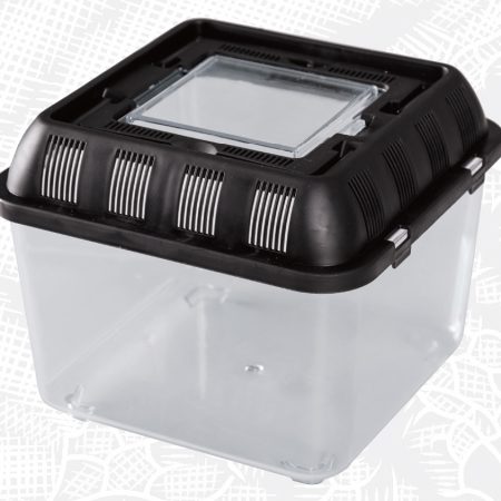 plastic reptile tank