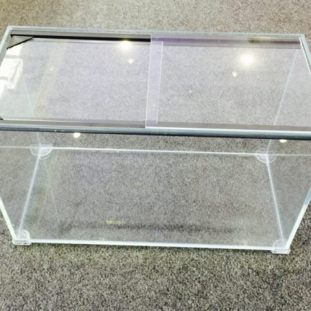starphire shrimp tank